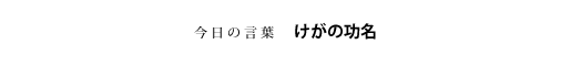 けがの功名
