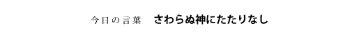 さわらぬ神にたたりなし