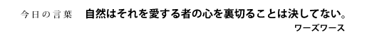 自然はそれを愛する者の心を裏切ることは決してない。　ワーズワース