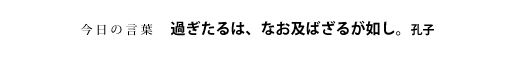 過ぎたるは、なお及ばざるが如し。　孔子